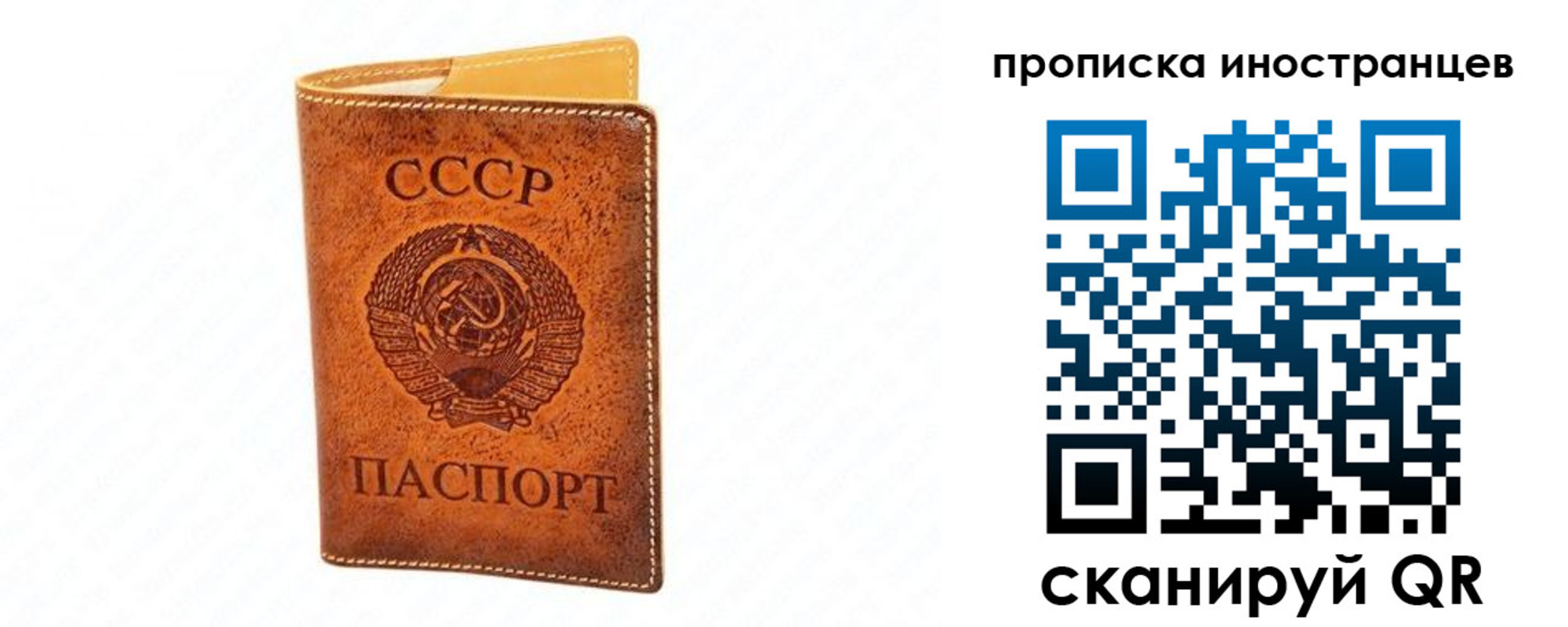 прописка для школы в Красногорске